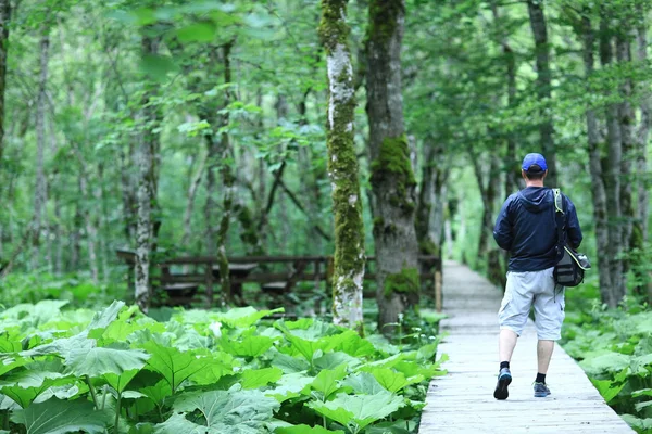 Manliga turist i en skog med våren — Stockfoto