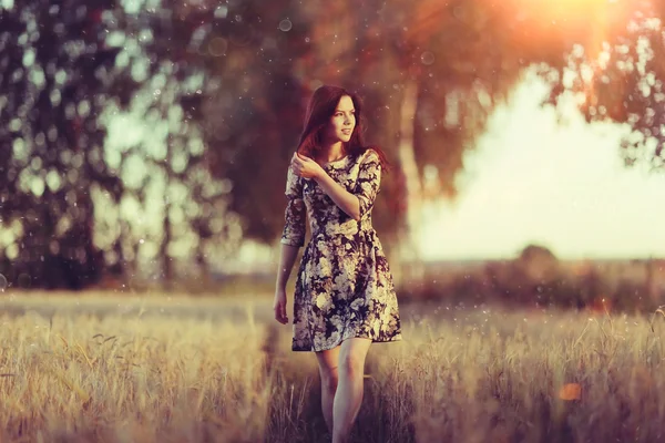 Ragazza nel paesaggio rustico del grano — Foto Stock