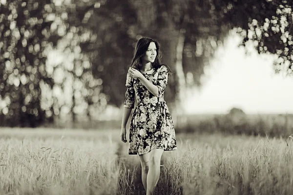 Meisje in het rustieke landschap van tarwe — Stockfoto