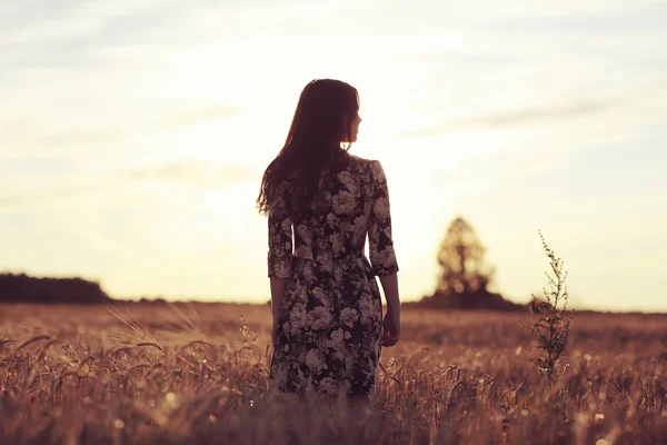 Girl at  sunset in  field — Stock Photo, Image