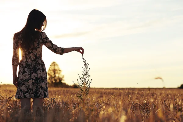 Ragazza al tramonto nel campo — Foto Stock