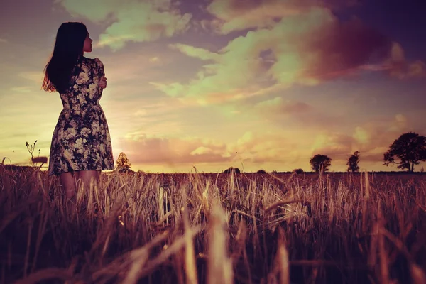 Flicka vid solnedgången i fältet — Stockfoto