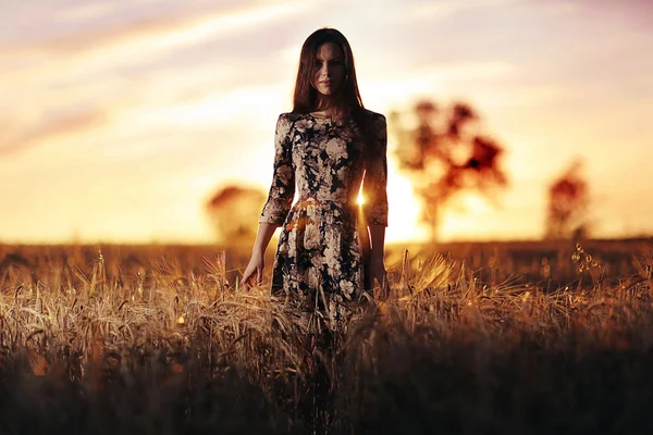 Chica al atardecer en el campo —  Fotos de Stock