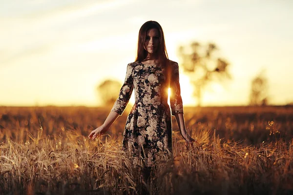 Dziewczyna o zachodzie słońca w dziedzinie — Zdjęcie stockowe