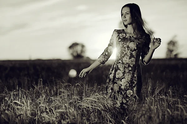 Ragazza al tramonto nel campo — Foto Stock