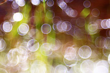 Bulanık Bokeh arka plan