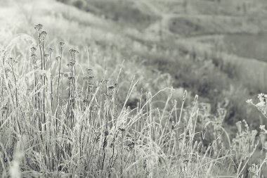 tek renkli kış manzarası