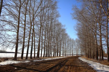 erken ilkbaharda kar erir