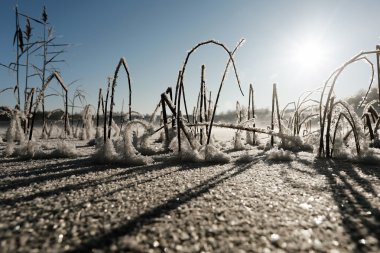 doku buz kristalleri