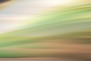 taze yeşil bahar bitki örtüsü bulanıklık