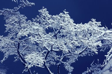 Kış gecesi arka plan