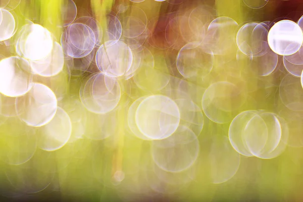 Bokeh blurred background — стоковое фото