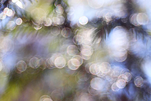 Abstract  bokeh background — Stock Photo, Image