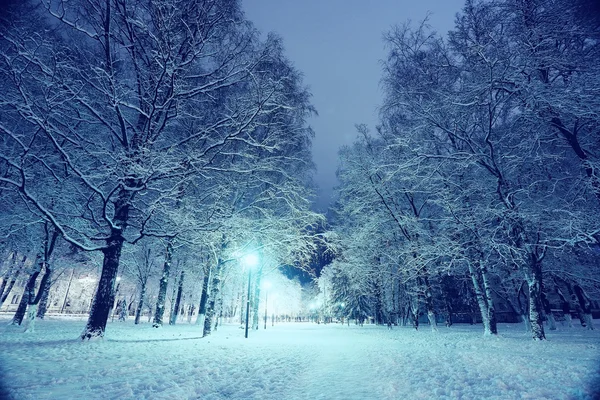 Noche invierno paisaje — Foto de Stock