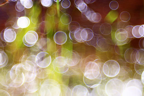 Bulanık Bokeh arka plan