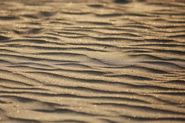 Textura pouště a písečné duny — Stock fotografie