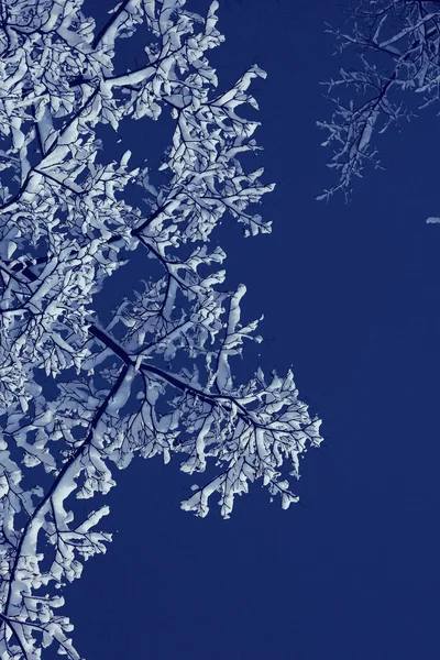 Kış gecesi arka plan