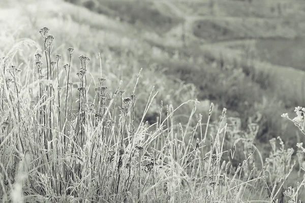 tek renkli kış manzarası