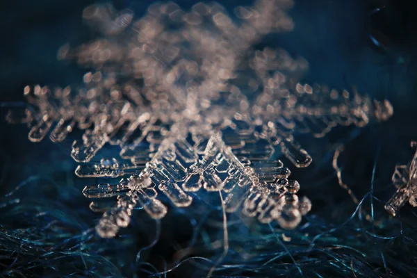 Natural snowflake on  background — Stock Photo, Image