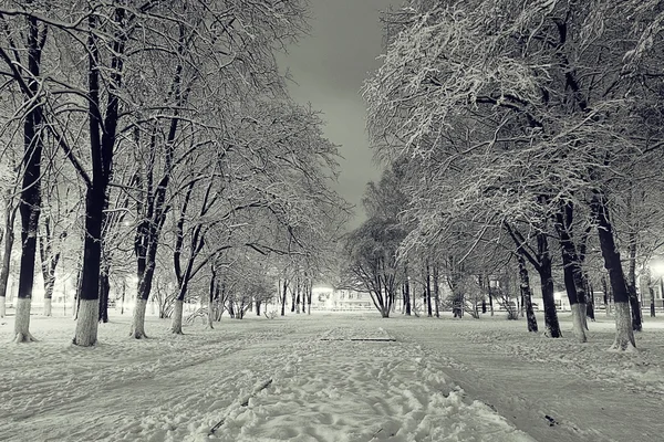 Night winter landscape — Stock Photo, Image