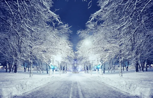 Night winter landscape — Stock Photo, Image