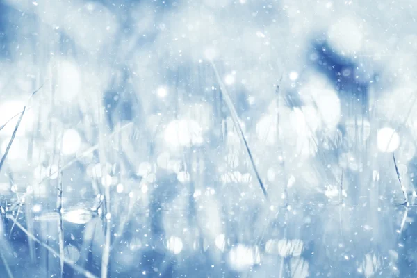 Azul plateado resalta lluvia de nieve —  Fotos de Stock