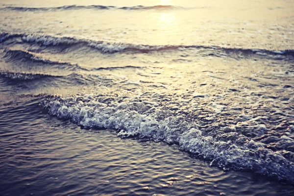 gün batımında denizde yaz 