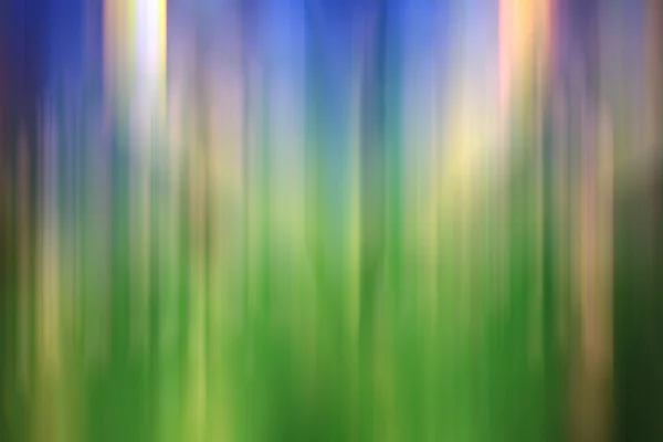 Θαμπάδα ανοιξιάτικα πράσινο φύλλωμα — Φωτογραφία Αρχείου