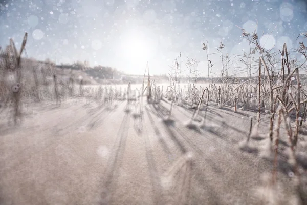 Текстура красивого снігу — стокове фото