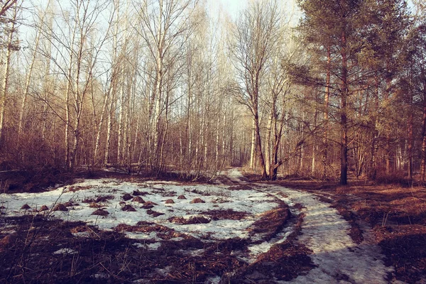 Vesnice jarní krajina silniční — Stock fotografie