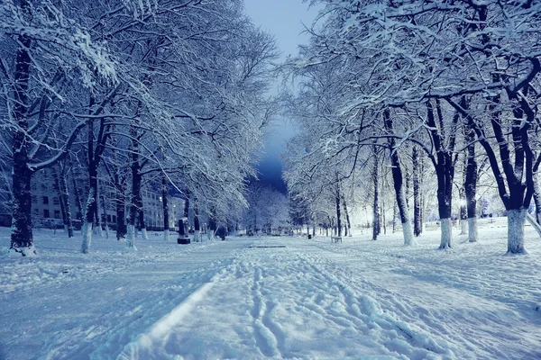 Night winter landscape — Stock Photo, Image