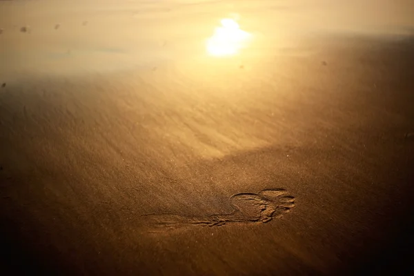 Západ slunce na moři na léto — Stock fotografie