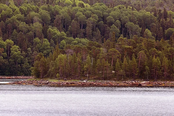 Landschaft des frühen Frühlings — Stockfoto