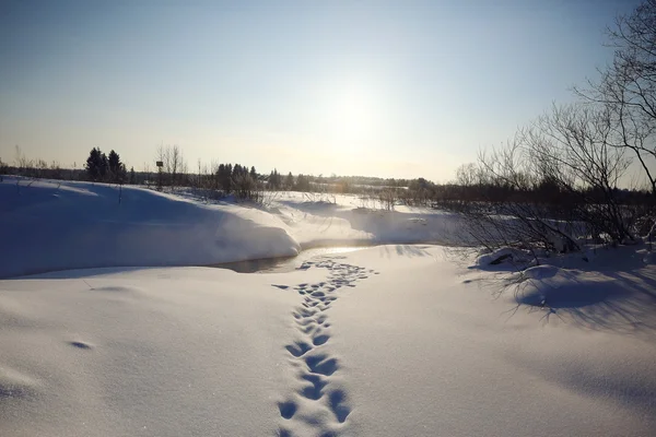 クリーク雪月します。 — ストック写真