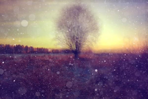 Hintergrund Winternacht — Stockfoto