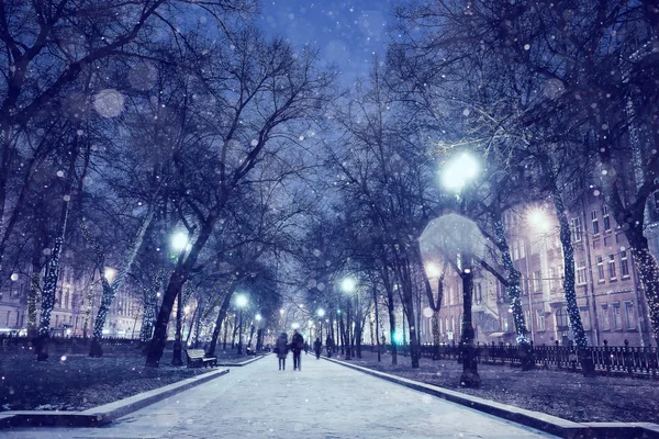 Night winter landscape in the alley — Stock Photo, Image