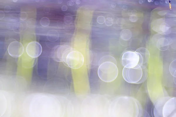 Blurred background with white circles — Stock Photo, Image
