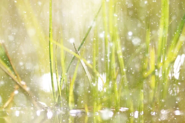 Háttér életlen bokeh vakító fény eső — Stock Fotó