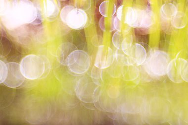 Bulanık Bokeh arka plan