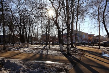 bahar güneş orman manzara