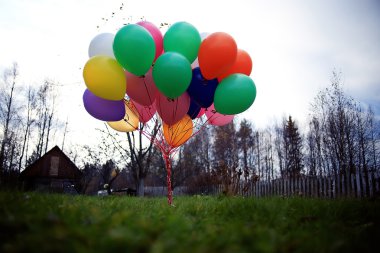 Doku renkli balon