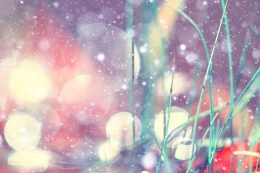 renkli arka plan bokeh vurgulamaktadır