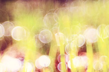 Bulanık Bokeh arka plan