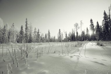 tek renkli kış manzarası