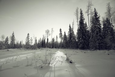 tek renkli kış manzarası