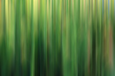 taze yeşil bahar bitki örtüsü bulanıklık