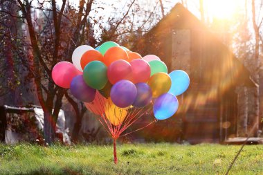 Doku renkli balon