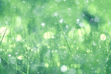 arka plan bulanık bokeh parlama yağmur