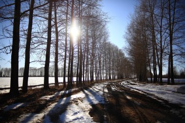 erken ilkbaharda kar erir