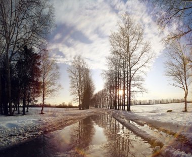 manzara yol bahar Köyü